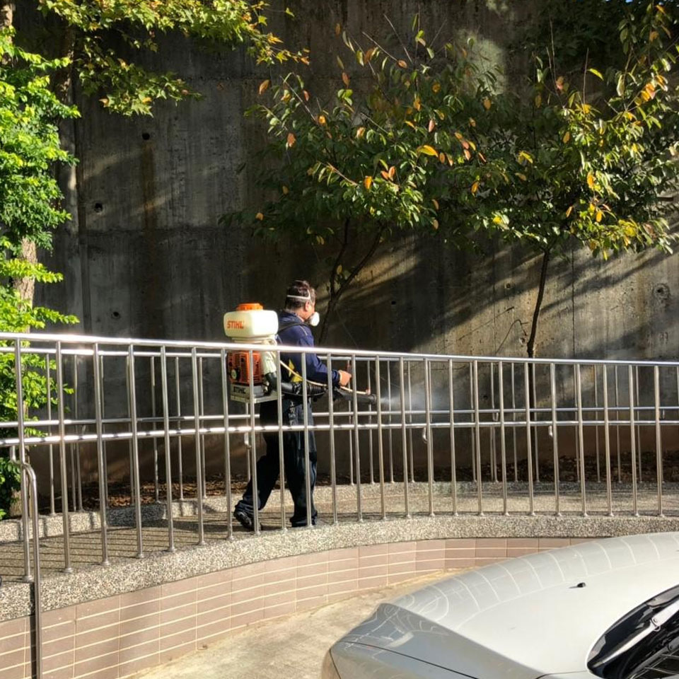 跳蚤驅除服務
